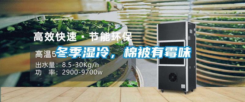 冬季濕冷，棉被有霉味