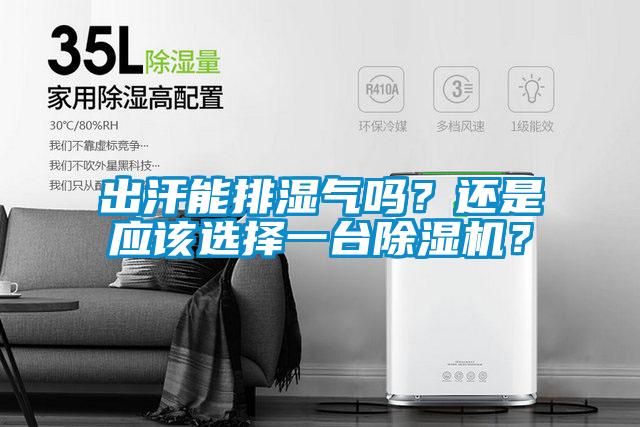 出汗能排濕氣嗎？還是應(yīng)該選擇一臺除濕機(jī)？