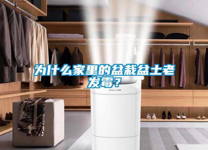 為什么家里的盆栽盆土老發(fā)霉？
