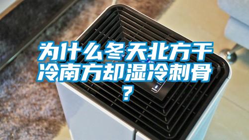 為什么冬天北方干冷南方卻濕冷刺骨？