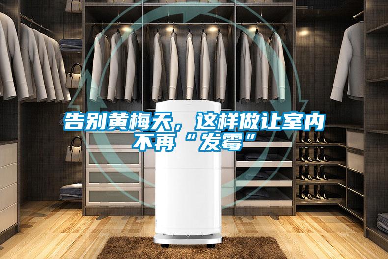 告別黃梅天，這樣做讓室內(nèi)不再“發(fā)霉”