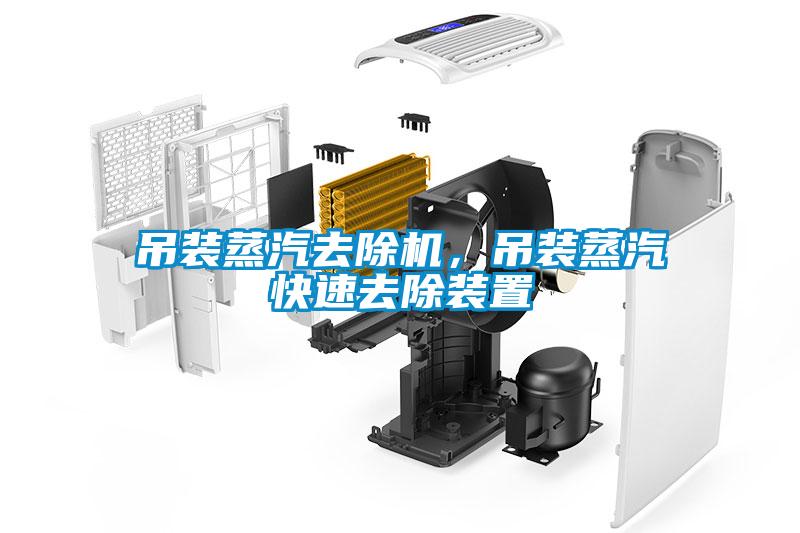 吊裝蒸汽去除機(jī)，吊裝蒸汽快速去除裝置