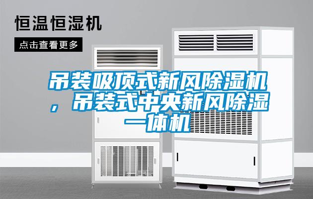 吊裝吸頂式新風(fēng)除濕機(jī)，吊裝式中央新風(fēng)除濕一體機(jī)