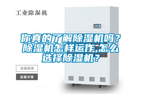 你真的了解除濕機嗎？除濕機怎樣運作,怎么選擇除濕機？