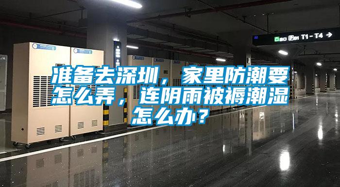 準(zhǔn)備去深圳，家里防潮要怎么弄，連陰雨被褥潮濕怎么辦？