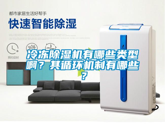 冷凍除濕機(jī)有哪些類型??？其循環(huán)機(jī)制有哪些？