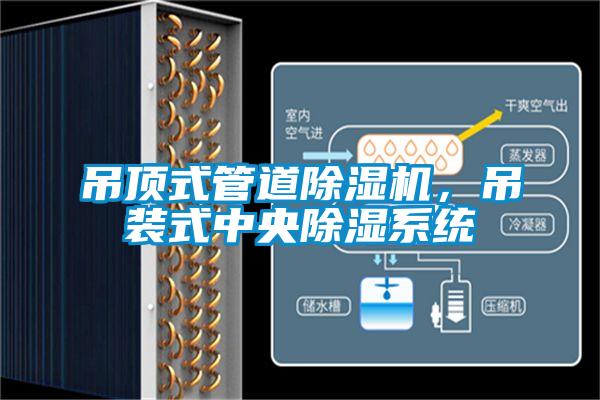 吊頂式管道除濕機(jī)，吊裝式中央除濕系統(tǒng)