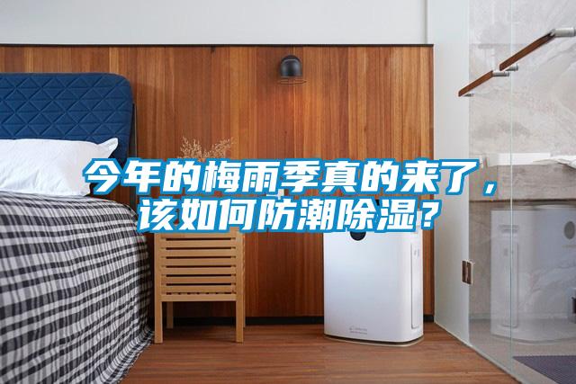 今年的梅雨季真的來了，該如何防潮除濕？
