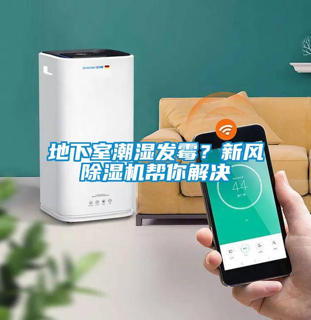 地下室潮濕發(fā)霉？新風(fēng)除濕機幫你解決