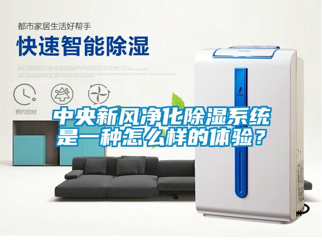 中央新風(fēng)凈化除濕系統(tǒng)是一種怎么樣的體驗(yàn)？