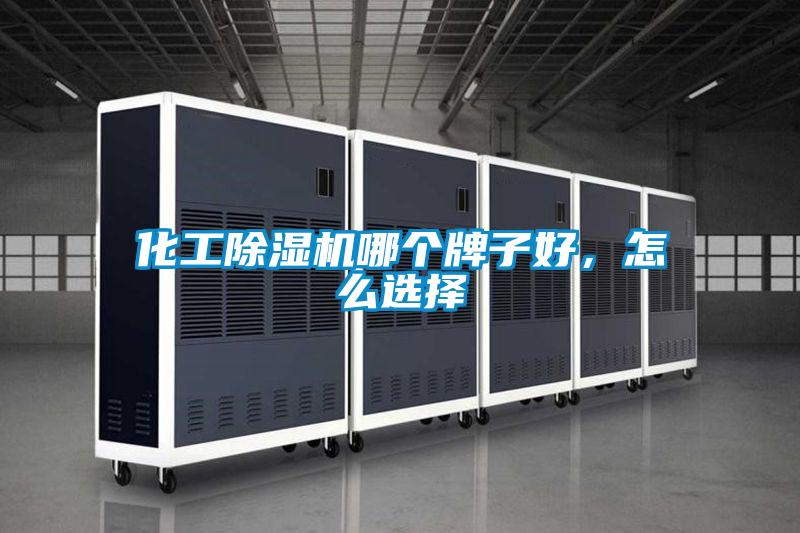 化工除濕機(jī)哪個牌子好，怎么選擇