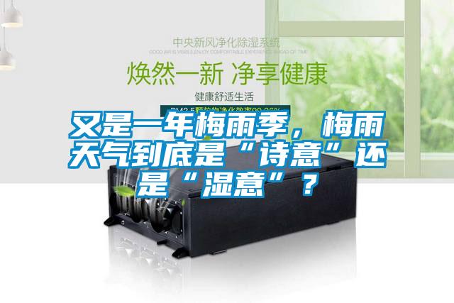 又是一年梅雨季，梅雨天氣到底是“詩意”還是“濕意”？