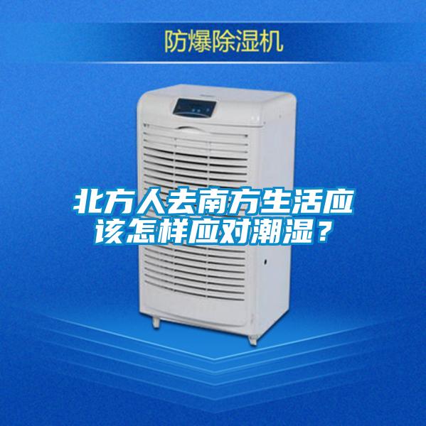 北方人去南方生活應該怎樣應對潮濕？