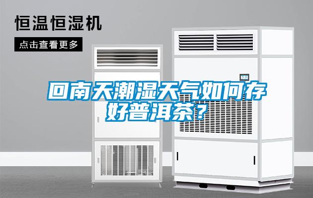 回南天潮濕天氣如何存好普洱茶？