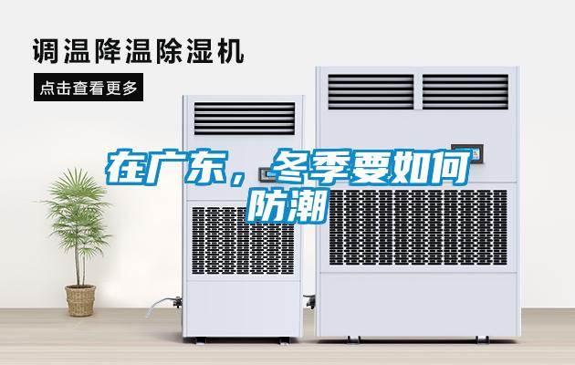 在廣東，冬季要如何防潮