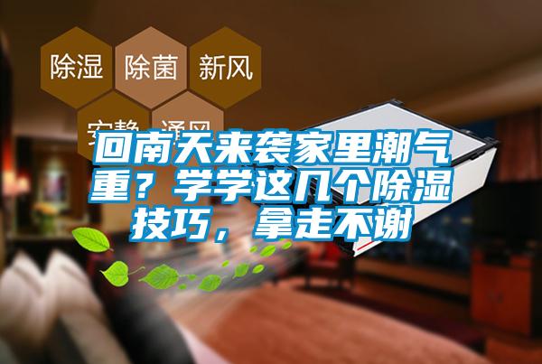 回南天來襲家里潮氣重？學(xué)學(xué)這幾個除濕技巧，拿走不謝