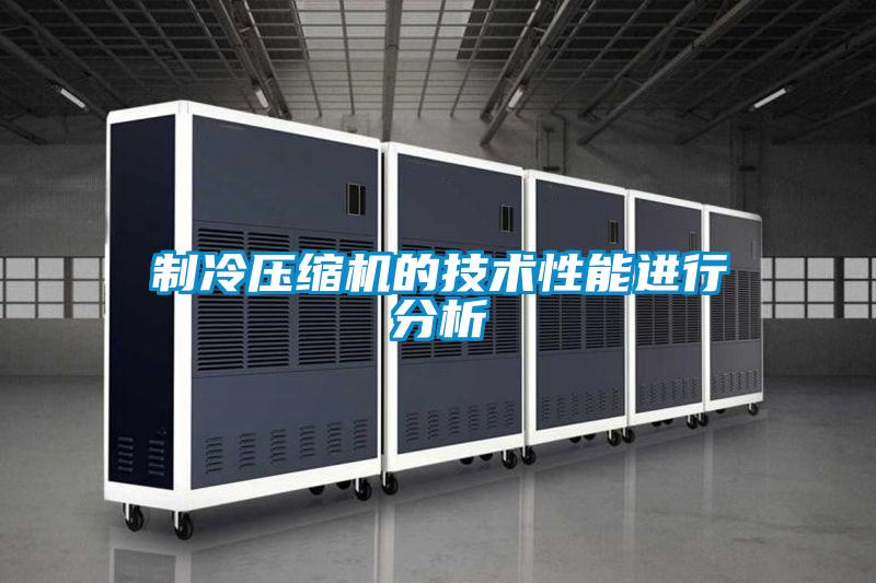 制冷壓縮機(jī)的技術(shù)性能進(jìn)行分析