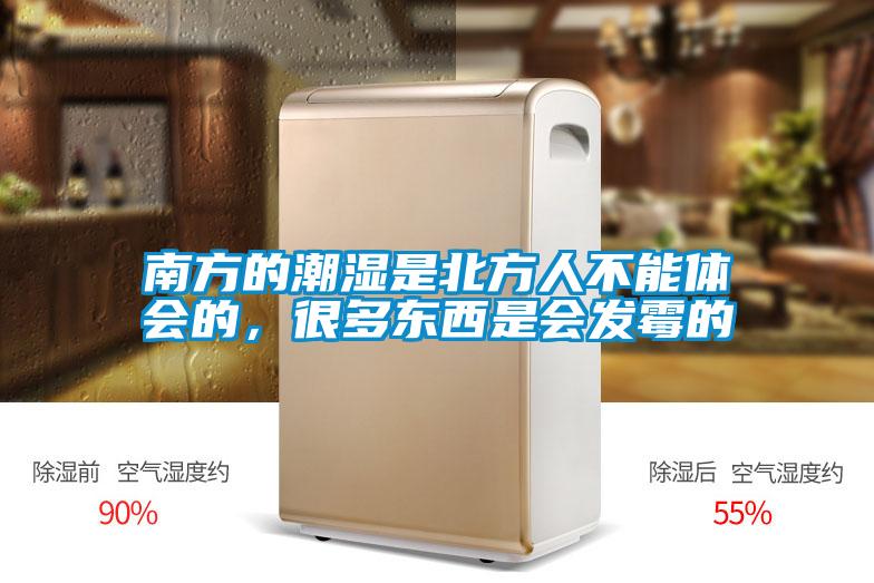 南方的潮濕是北方人不能體會的，很多東西是會發(fā)霉的