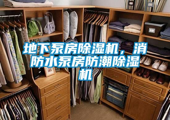 地下泵房除濕機(jī)，消防水泵房防潮除濕機(jī)