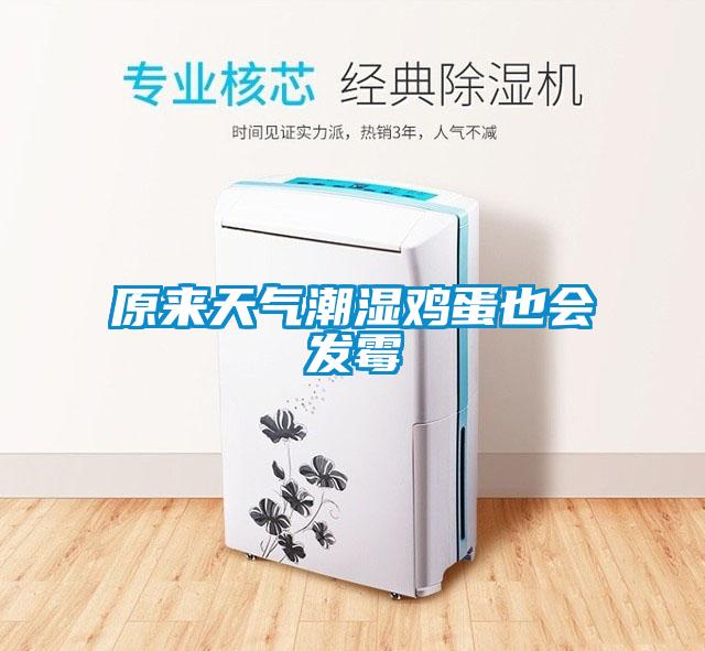 原來(lái)天氣潮濕雞蛋也會(huì)發(fā)霉