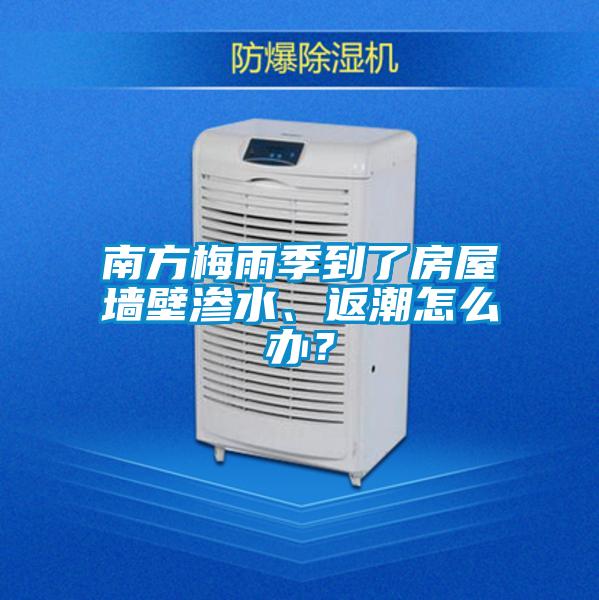 南方梅雨季到了房屋墻壁滲水、返潮怎么辦？