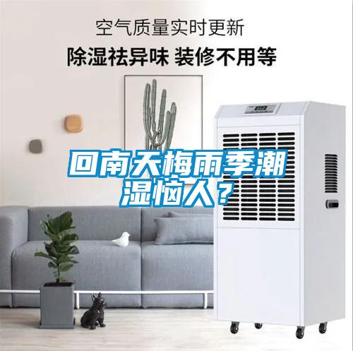 回南天梅雨季潮濕惱人？