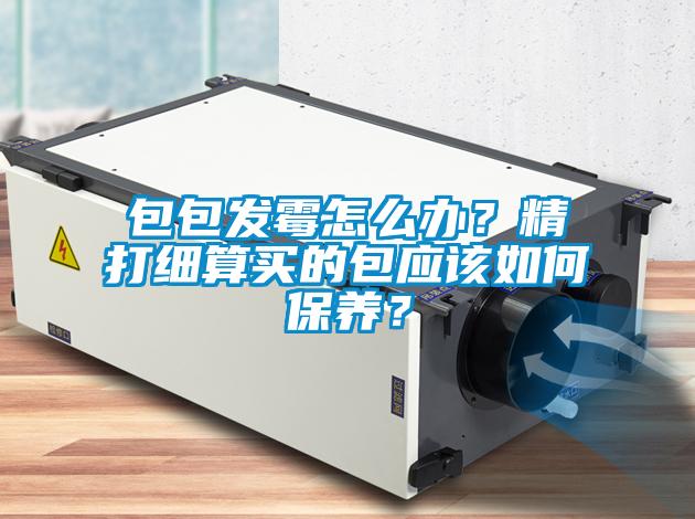 包包發(fā)霉怎么辦？精打細(xì)算買的包應(yīng)該如何保養(yǎng)？