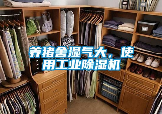 養(yǎng)豬舍濕氣大，使用工業(yè)除濕機(jī)