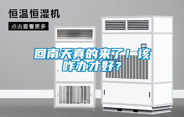 回南天真的來了！該咋辦才好？