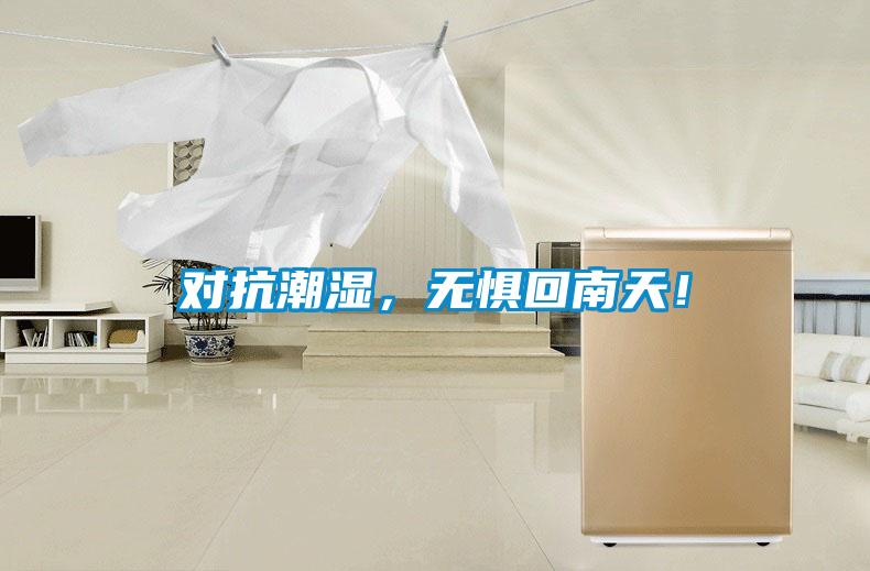對抗潮濕，無懼回南天！