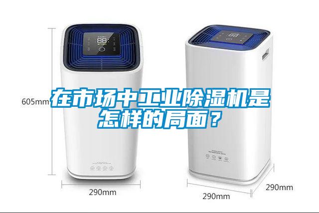 在市場(chǎng)中工業(yè)除濕機(jī)是怎樣的局面？