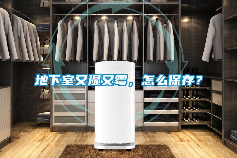地下室又濕又霉，怎么保存？