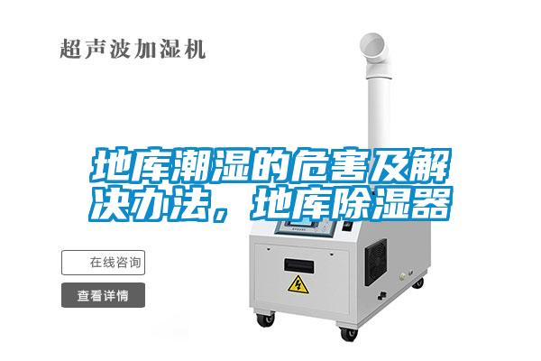 地庫潮濕的危害及解決辦法，地庫除濕器