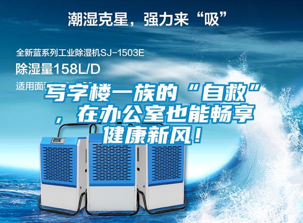 寫字樓一族的“自救”，在辦公室也能暢享健康新風(fēng)！