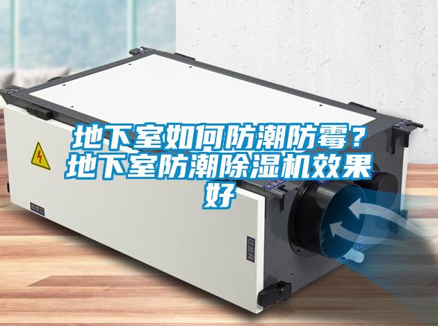 地下室如何防潮防霉？地下室防潮除濕機(jī)效果好