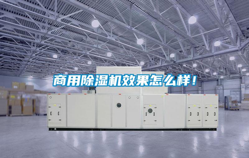 商用除濕機效果怎么樣！