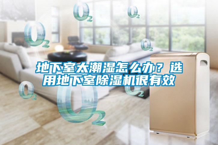 地下室太潮濕怎么辦？選用地下室除濕機很有效