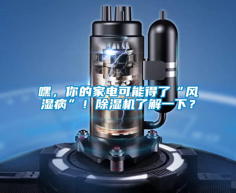 嘿，你的家電可能得了“風濕病”！除濕機了解一下？