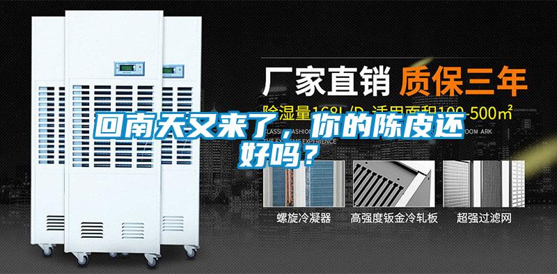 回南天又來了，你的陳皮還好嗎？