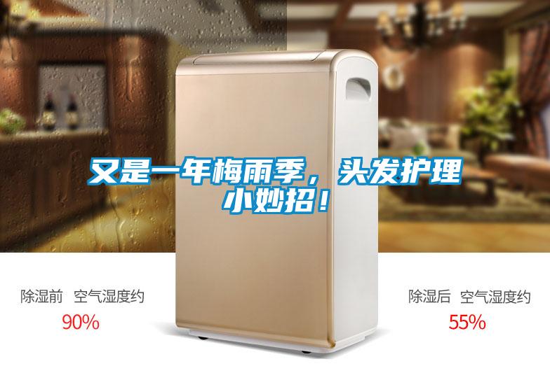 又是一年梅雨季，頭發(fā)護(hù)理小妙招！