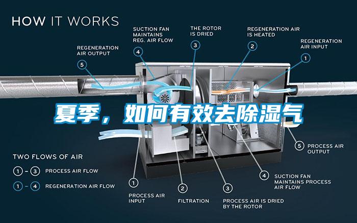 夏季，如何有效去除濕氣