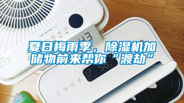 夏日梅雨季，除濕機(jī)加儲物前來幫你“渡劫”