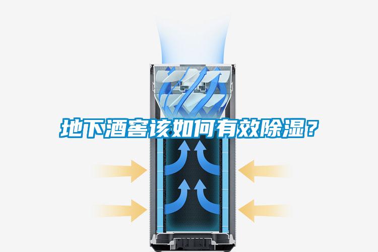 地下酒窖該如何有效除濕？