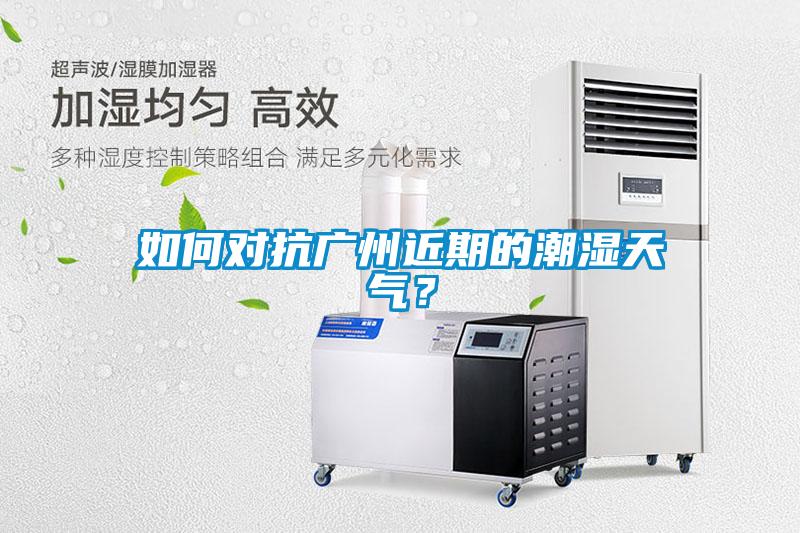 如何對(duì)抗廣州近期的潮濕天氣？
