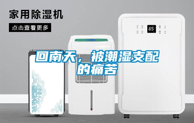 回南天，被潮濕支配的痛苦