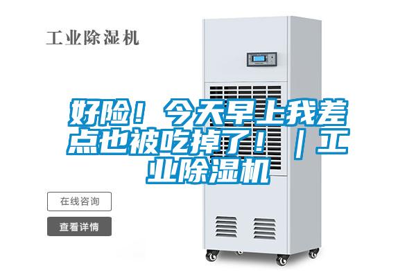 好險！今天早上我差點也被吃掉了?。I(yè)除濕機