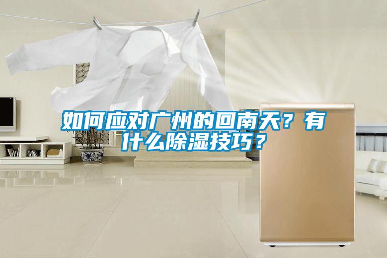 如何應(yīng)對(duì)廣州的回南天？有什么除濕技巧？