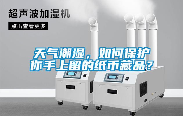 天氣潮濕，如何保護(hù)你手上留的紙幣藏品？