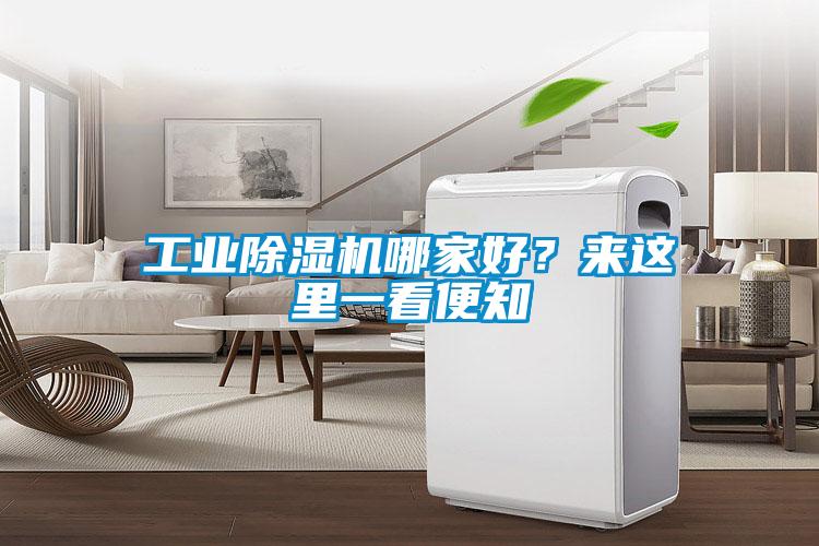 工業(yè)除濕機(jī)哪家好？來這里一看便知