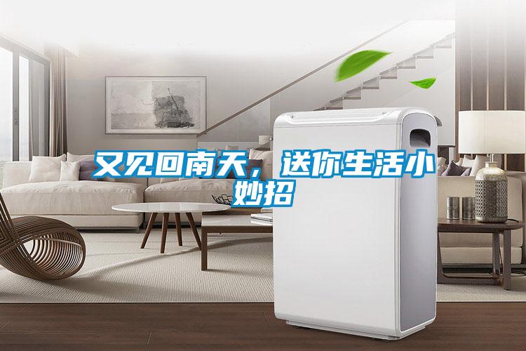 又見回南天，送你生活小妙招